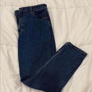 Abercrombie & Fitch Women's Dark Blue the Skinny Jeans, curve love